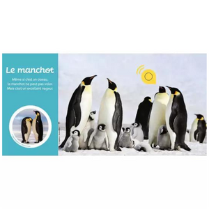 Détail des pages cartonnées et des photos réalistes d'animaux polaires