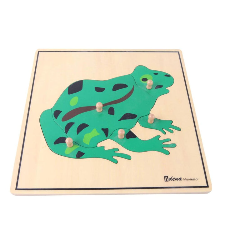 Enfant manipulant le puzzle Grenouille Montessori pour apprendre la zoologie