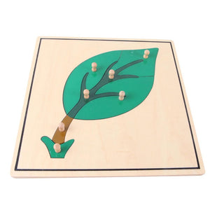 Puzzle de botanique montrant une fleur avec boutons de préhension