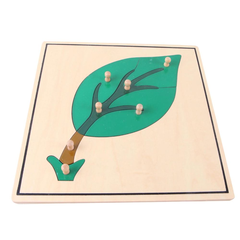 Puzzle de botanique montrant une fleur avec boutons de préhension