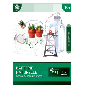 Exemples de fruits et légumes utilisés pour l'expérience Électriplante