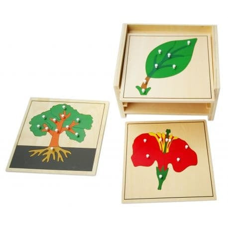 Puzzle de botanique représentant un arbre avec boutons de préhension