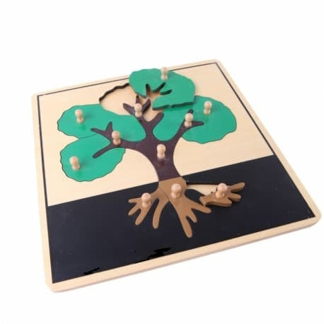 Puzzle de botanique illustrant une feuille avec boutons de préhension