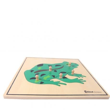 Puzzle Grenouille Montessori 5 pièces avec boutons de préhension
