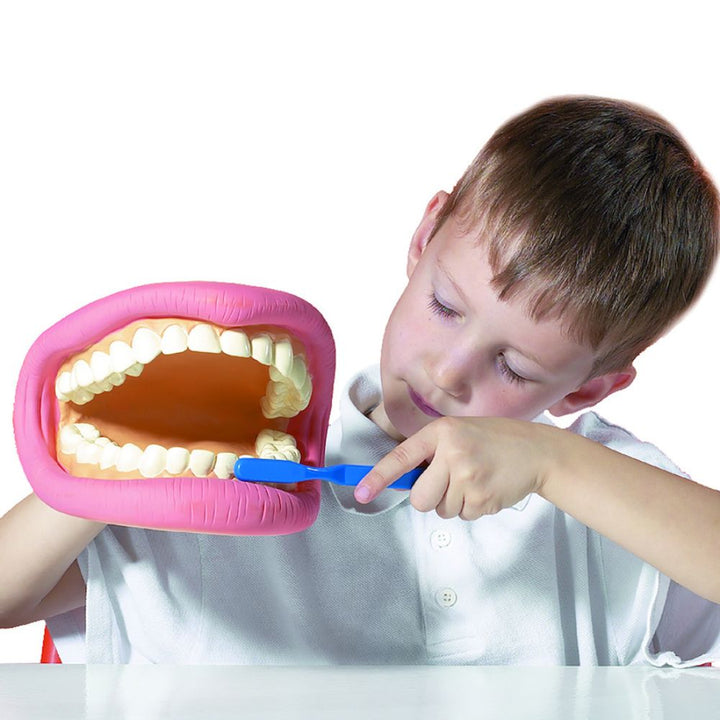 Bouche géante dentaire avec brosse à dents géante pour apprentissage hygiène