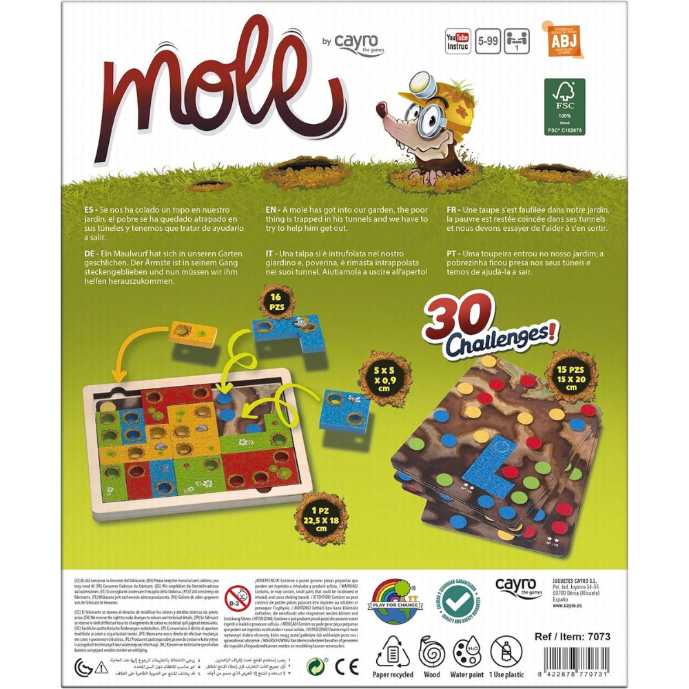 Jeux Éducatif MOLE - Défis Logiques pour Enfants 5+ Ansi