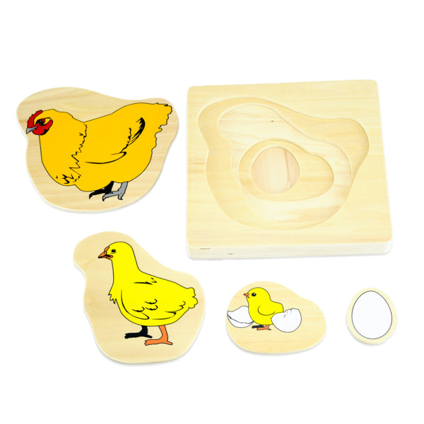 Puzzle cycle de vie de la poule