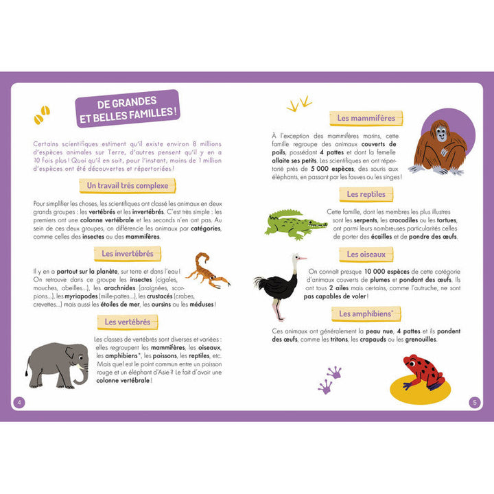 Enfant jouant avec le plateau magnétique et les aimants d'animaux